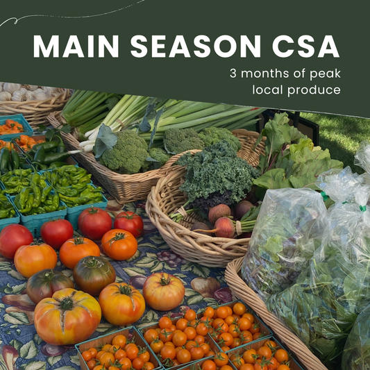 2025 Main Season CSA (early July-early October)