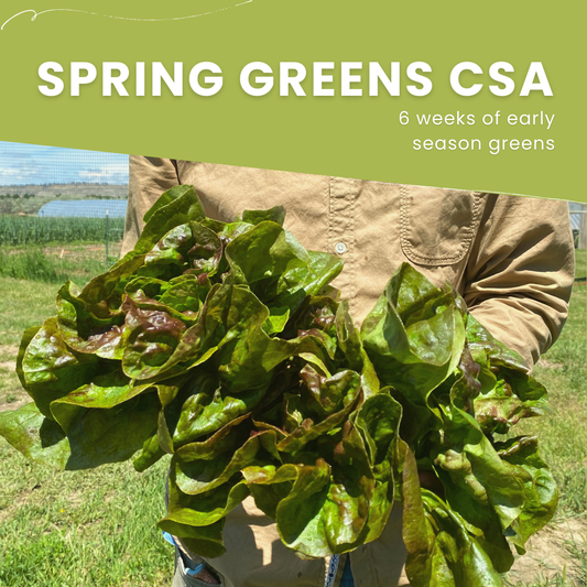 2025 Spring Greens CSA (late May-late June)