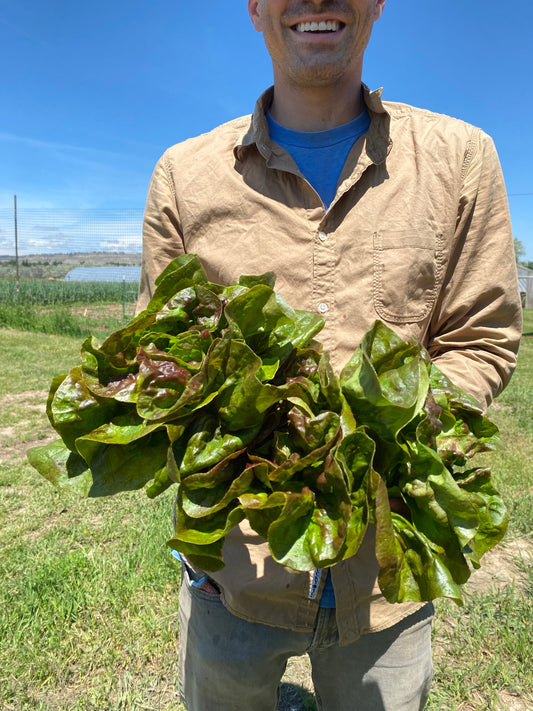 2025 Spring Greens CSA (late May-late June)