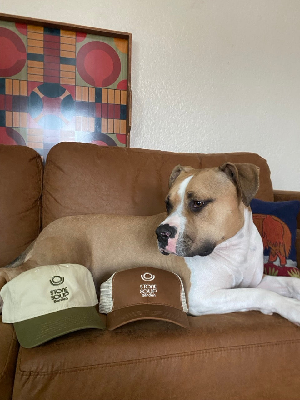 Stone Soup Trucker Hat - Brown